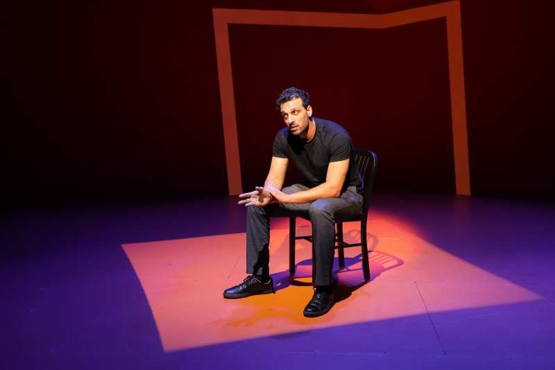 Review: OUT OF CHARACTER at Berkshire Theatre Group Image