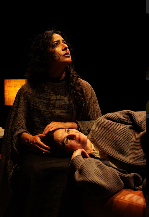 Review: THE JANEIAD at The Old Globe Image