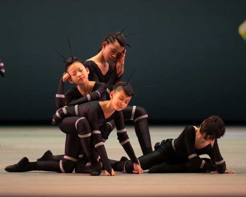 Review: THE ROYAL BALLET SCHOOL SUMMER PERFORMANCE, Royal Ballet And Opera Image