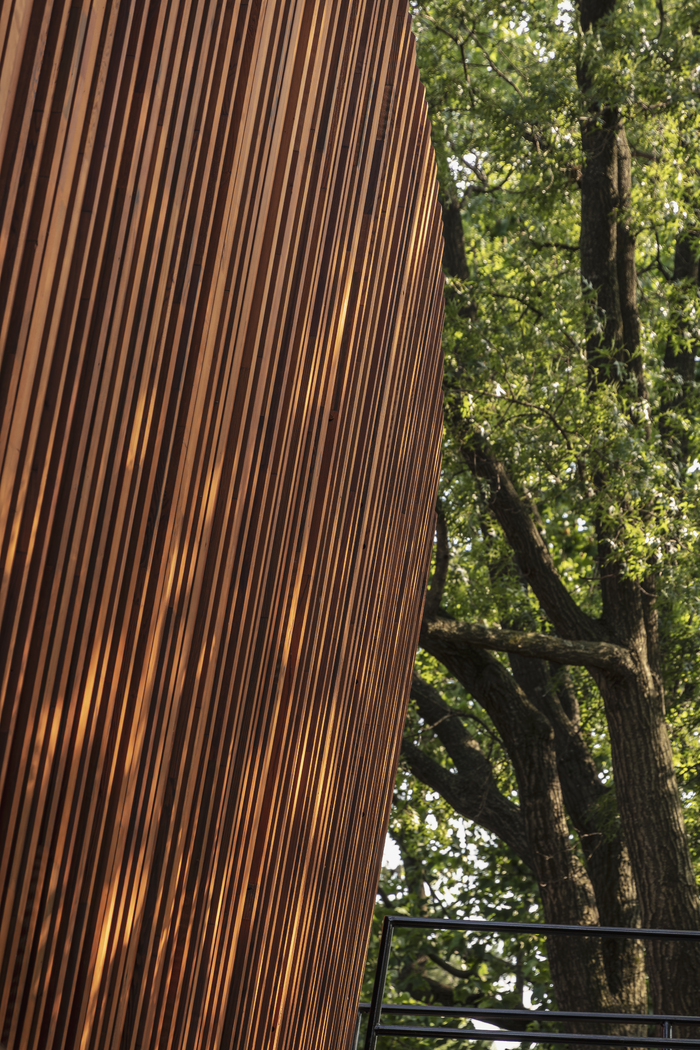 Photos: First Look at the Revitalized Delacorte Theater Image