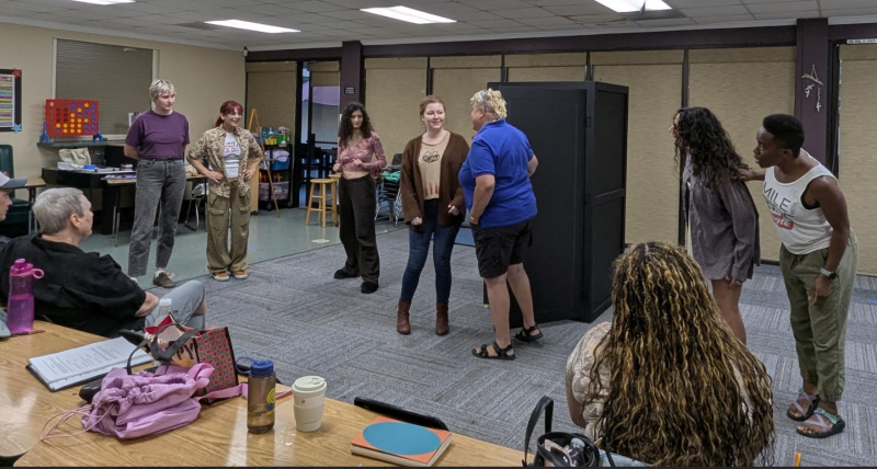 Interview: Playwright Dian Schaffhauser Talks LESBIANS OF SAN DIEGO, A HERSTORY IN TWO ACTS Image