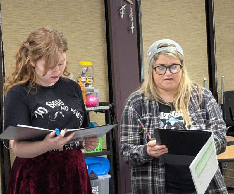 Interview: Playwright Dian Schaffhauser Talks LESBIANS OF SAN DIEGO, A HERSTORY IN TWO ACTS Image