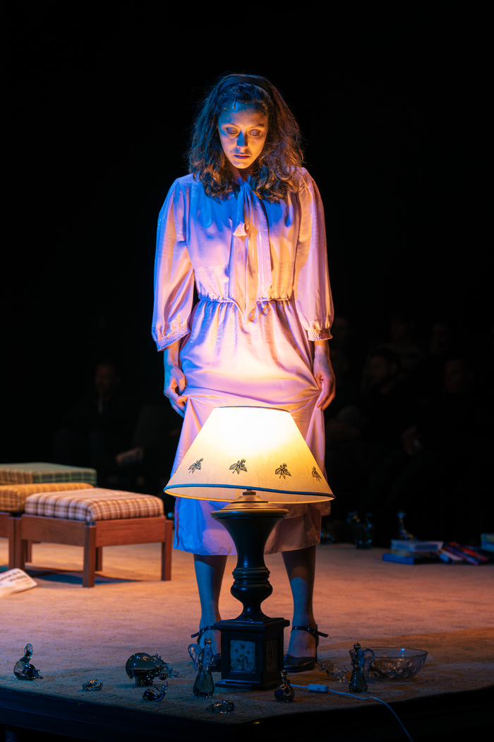 Photos: THE GLASS MENAGERIE / SPEELGOED VAN GLAS To Play In English And Afrikaans At The Baxter This August Image