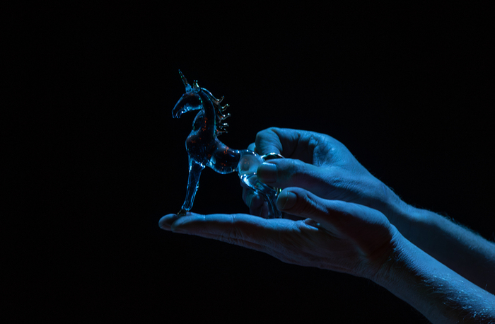 Photos: THE GLASS MENAGERIE / SPEELGOED VAN GLAS To Play In English And Afrikaans At The Baxter This August Image