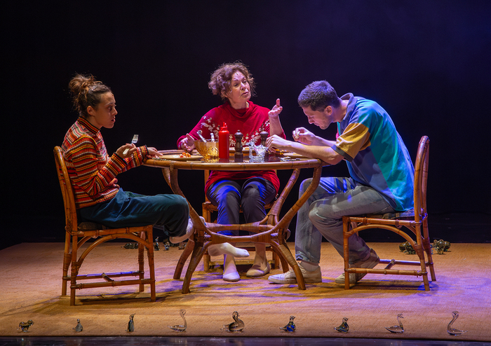 Photos: THE GLASS MENAGERIE / SPEELGOED VAN GLAS To Play In English And Afrikaans At The Baxter This August Image