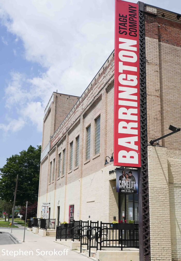 Photos: Inside Barrington Stage's Gala A NIGHT ON THE RED CARPET Image