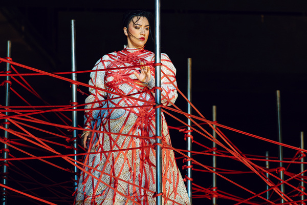 Photos: The Santa Fe Opera Presents DIE WALKURE Image