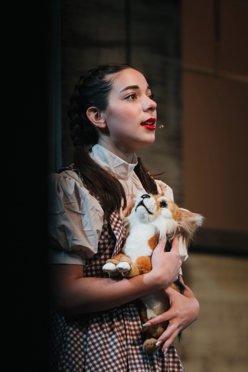 Review: THE WIZARD OF OZ at Arts One Presents in Springdale Image