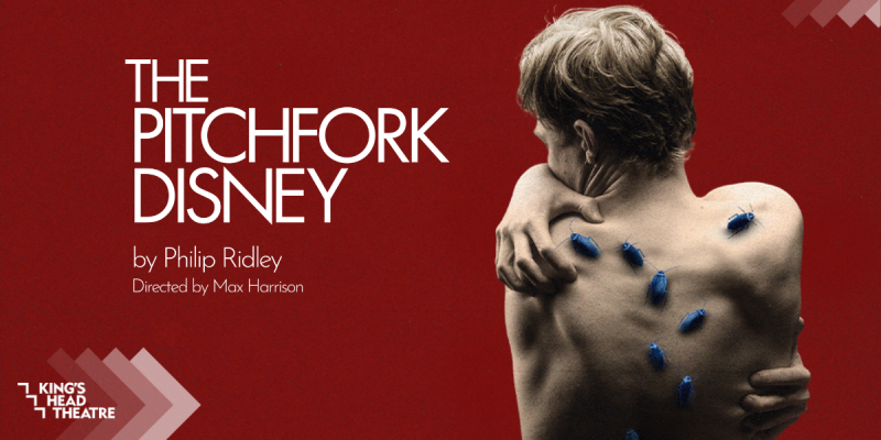 Guest Blog: Director Max Harrison on Community, Empathy and Horror in THE PITCHFORK DISNEY Image