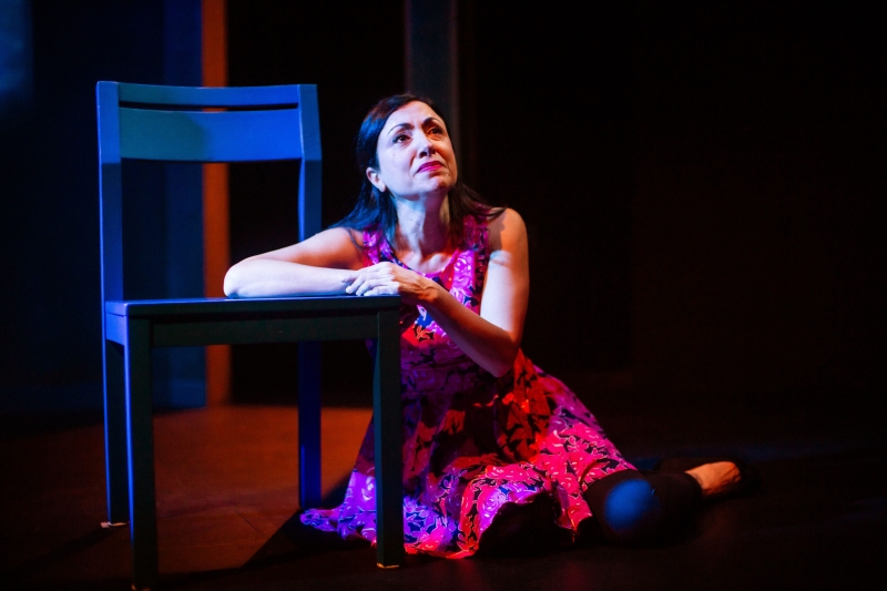 Review: HOME? A PALESTINIAN WOMAN'S PURSUIT OF LIFE, LIBERTY & HAPPINESS at Z Below Image