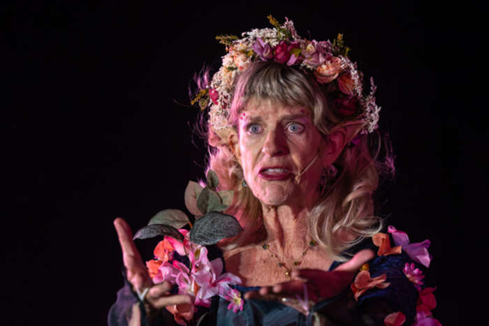 Photos: First look at Rise Up Arts Alliance’s A MIDSUMMER NIGHT’S DREAM Image