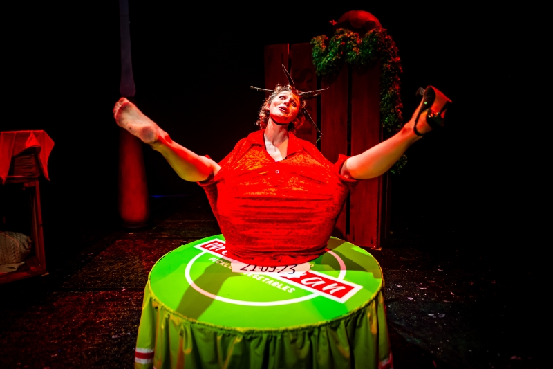 EDINBURGH 2025: Review: PICKLED REPUBLIC, Anatomy Lecture Theatre At Summerhall Image