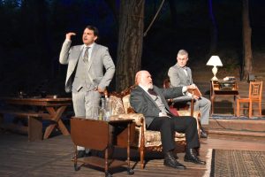 Interview: Ellen Geer on STRIFE at Theatricum Botanicum Image