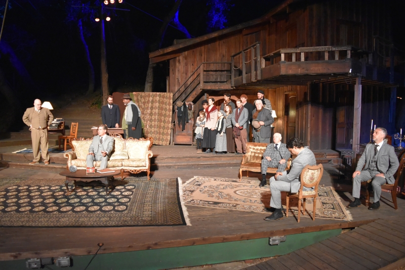Interview: Ellen Geer on STRIFE at Theatricum Botanicum Image