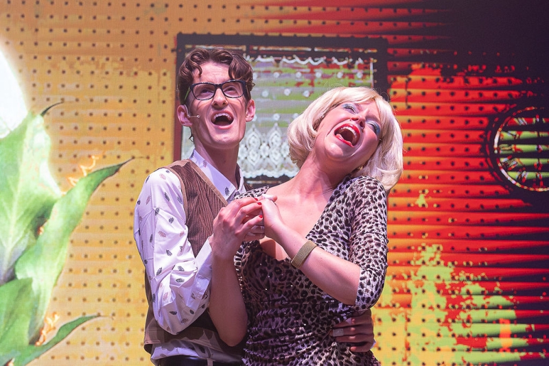 Review: LITTLE SHOP OF HORRORS at Planet Royale Image