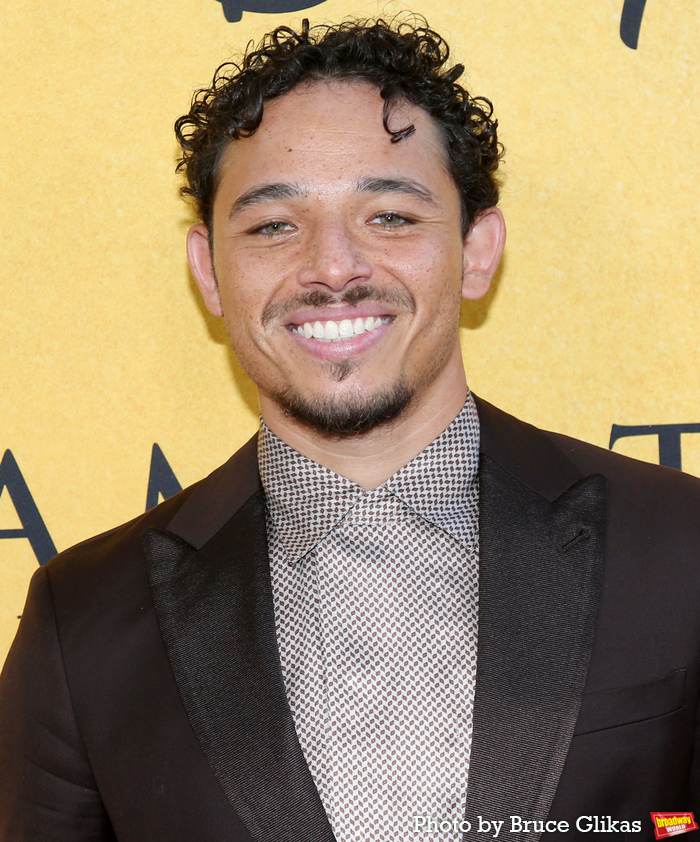 Photos: HAMILTON Original Cast Attends Movie Screening at the Delacorte Image