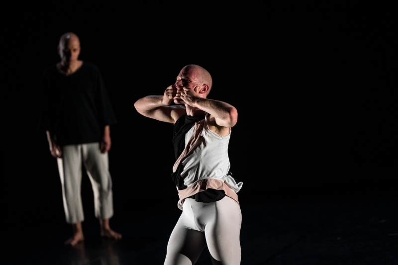 Interview: 'Memories Are Already Alive In Every Movement': Choreographer Amit Noy on Family, Trauma And Making His Sadler's Well Debut Image
