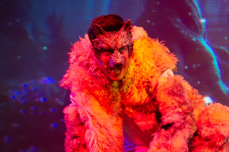 Review: INTO THE WOODS at Wisteria Theater Image