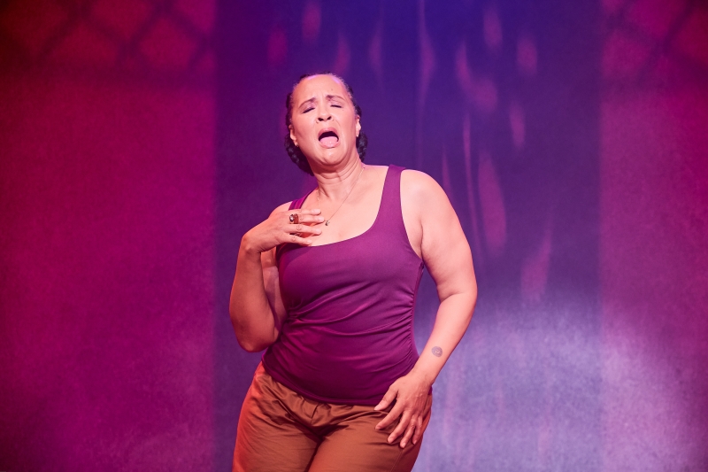 Review: NOT YOUR SUPERWOMAN, Bush Theatre Image