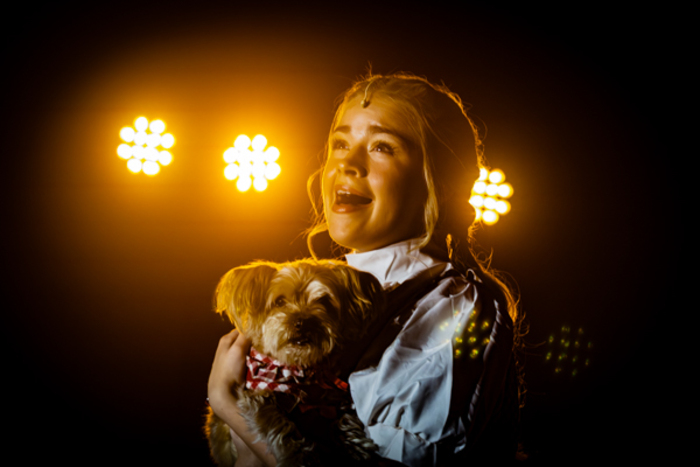 Photos: First look at Rise Up Arts Alliance’s THE WIZARD OF OZ Image
