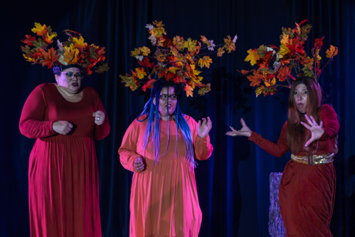Photos: First look at Rise Up Arts Alliance’s THE WIZARD OF OZ Image