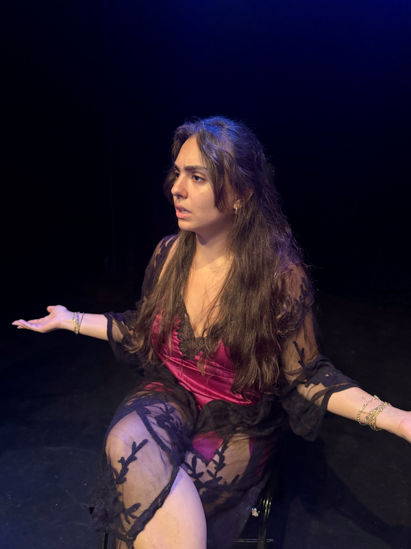 Photos: Joanna Pickering’s Tragicomedy MISTY AND ROVER at Chain Theatre Image