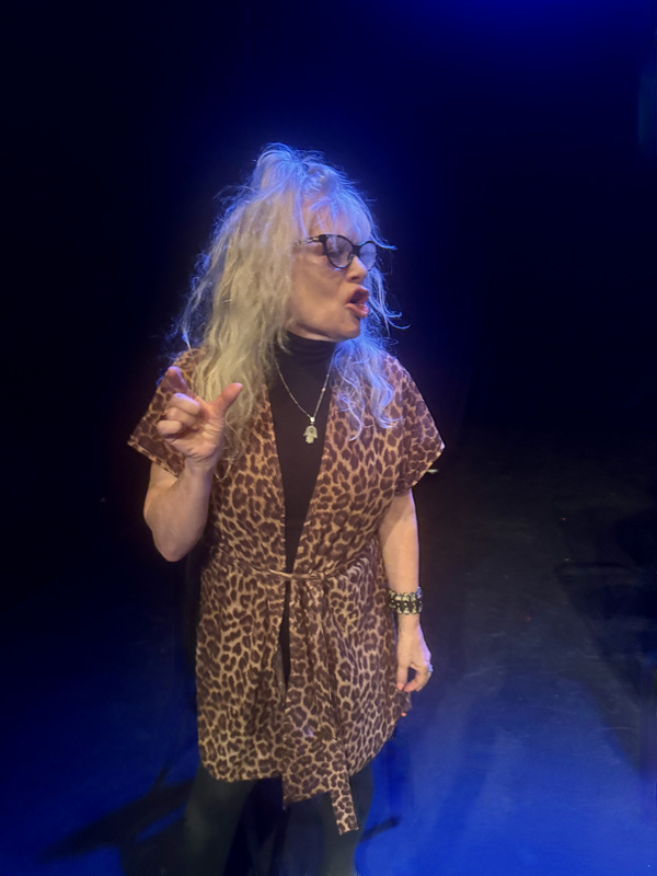 Photos: Joanna Pickering’s Tragicomedy MISTY AND ROVER at Chain Theatre Image