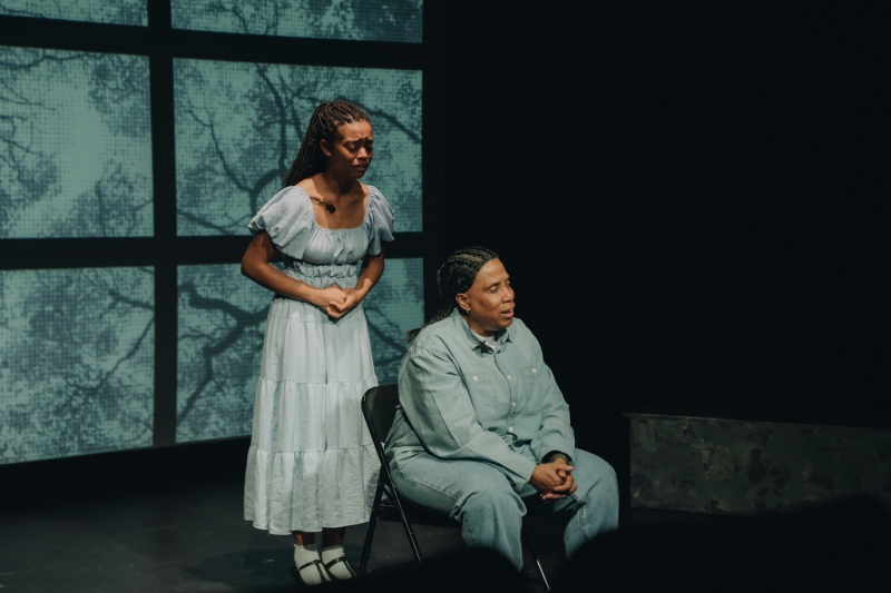 Interview: Writer/Performer Bleu Inkk of FOUND SUITABLE at Skylight Theatre Image