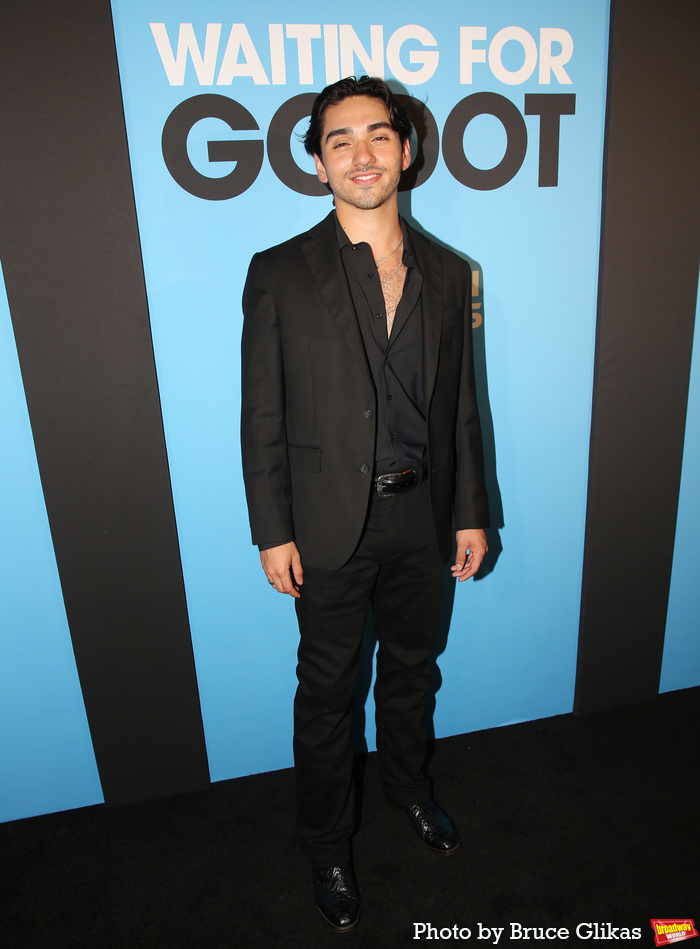 Photos: On the Opening Night Red Carpet For WAITING FOR GODOT Image