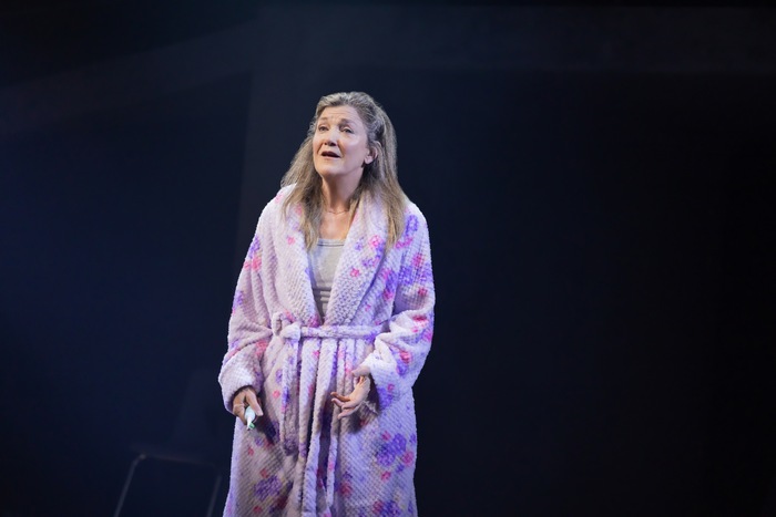 Photos: First Look at PUNCH on Broadway Image