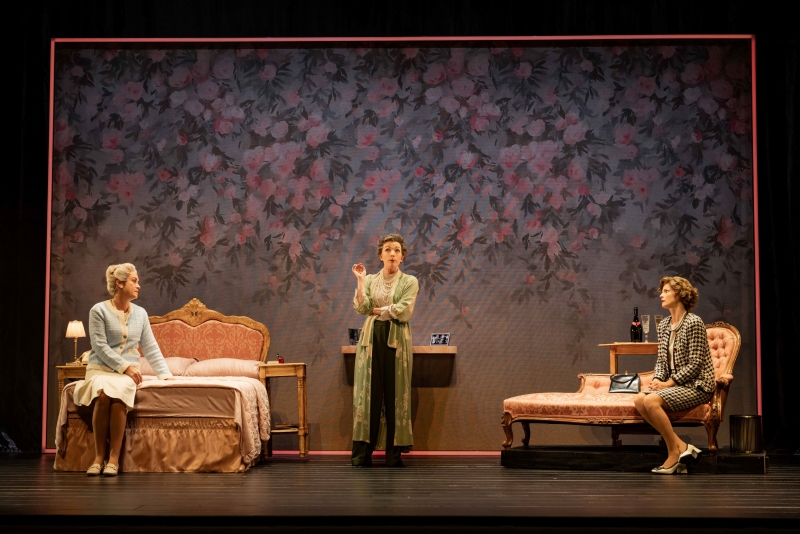 Review: THE PARTY GIRLS, Oxford Playhouse Image