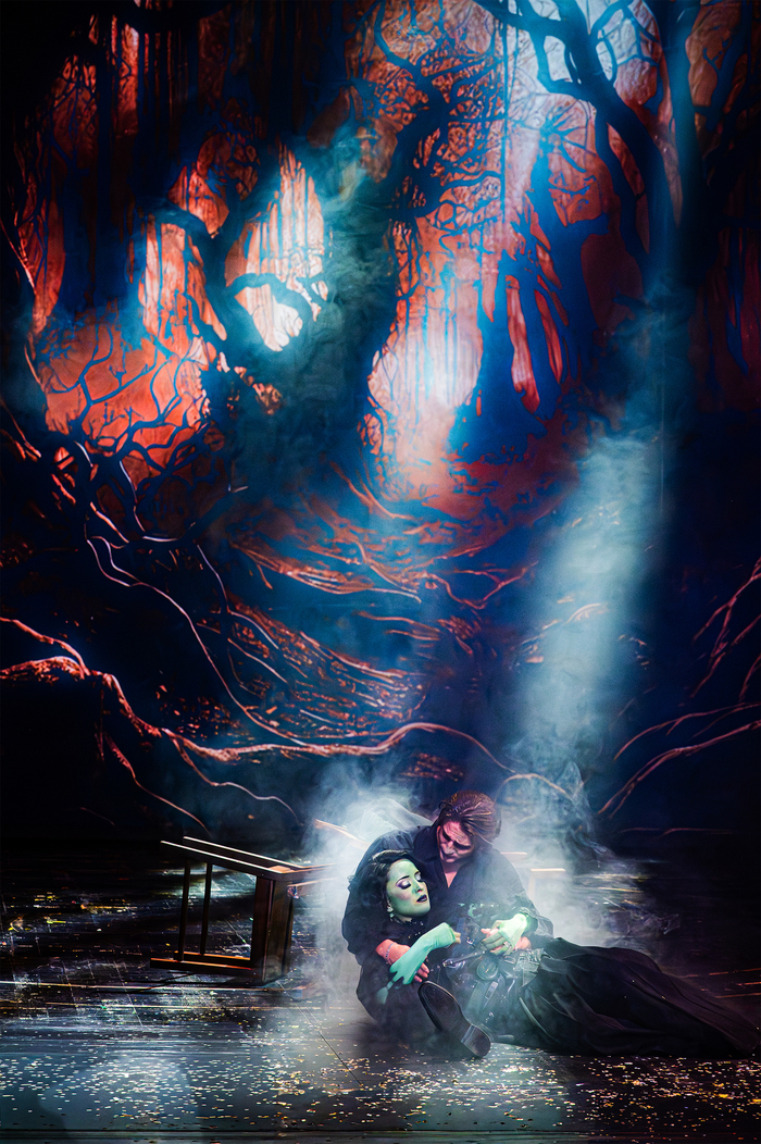 Photos: First Look at the Non-Replica Production of WICKED in Austria Image