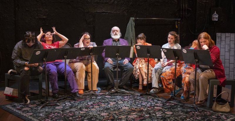 Review: STAGE OF FOOLS at Seattle Public Theater Image