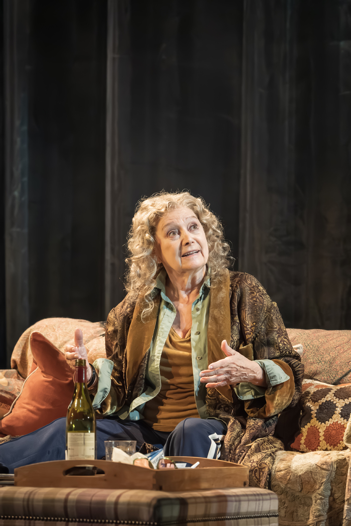 Photos: Ralph Fiennes, Rachel Tucker and More in SMALL HOTEL Image
