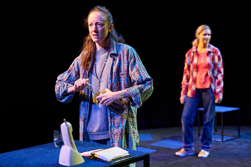 Review: MARY PAGE MARLOWE, Starring Susan Sarandon and Andrea Riseborough Image