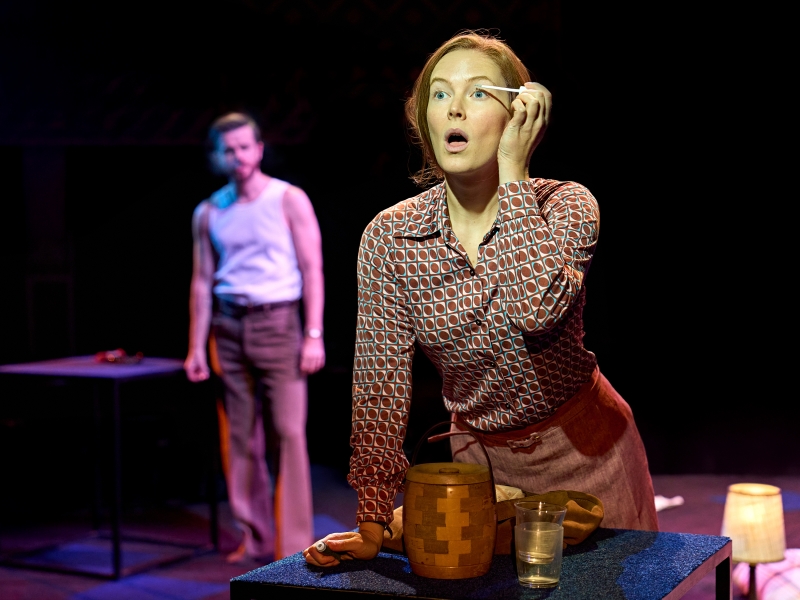 Review: MARY PAGE MARLOWE, Starring Susan Sarandon and Andrea Riseborough Image