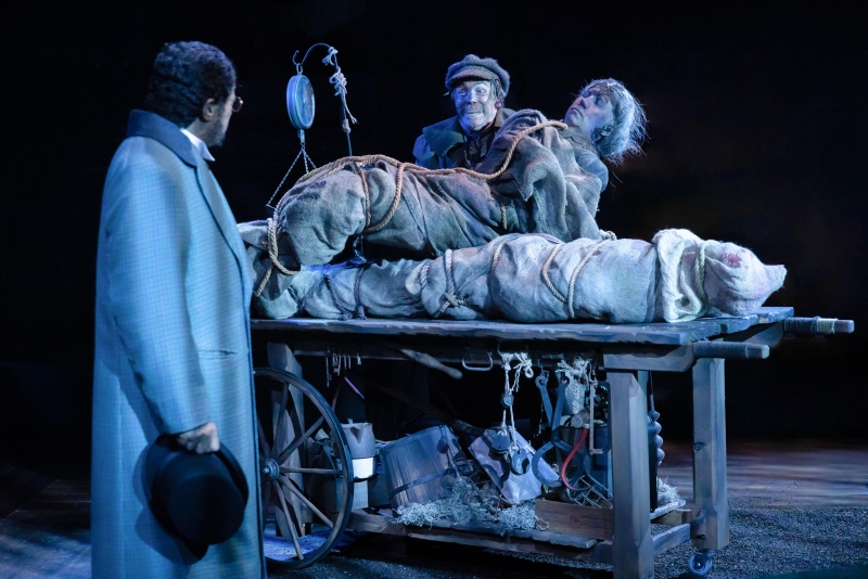 Review: THE BODY SNATCHER at The Alley Theatre Image