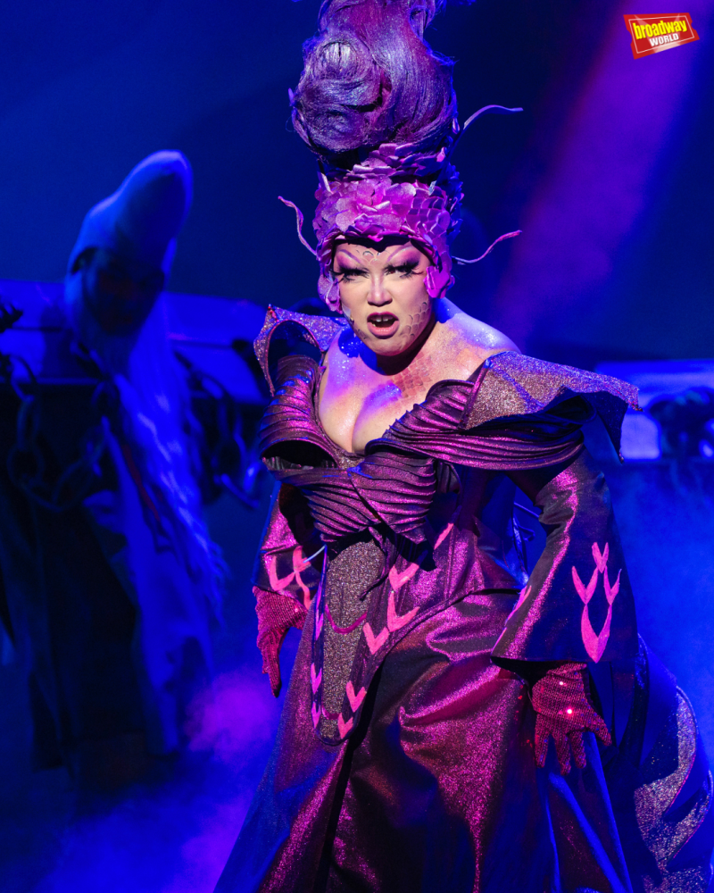 Photos: First Look at SHREK at the Newport Performing Arts Theatre Image