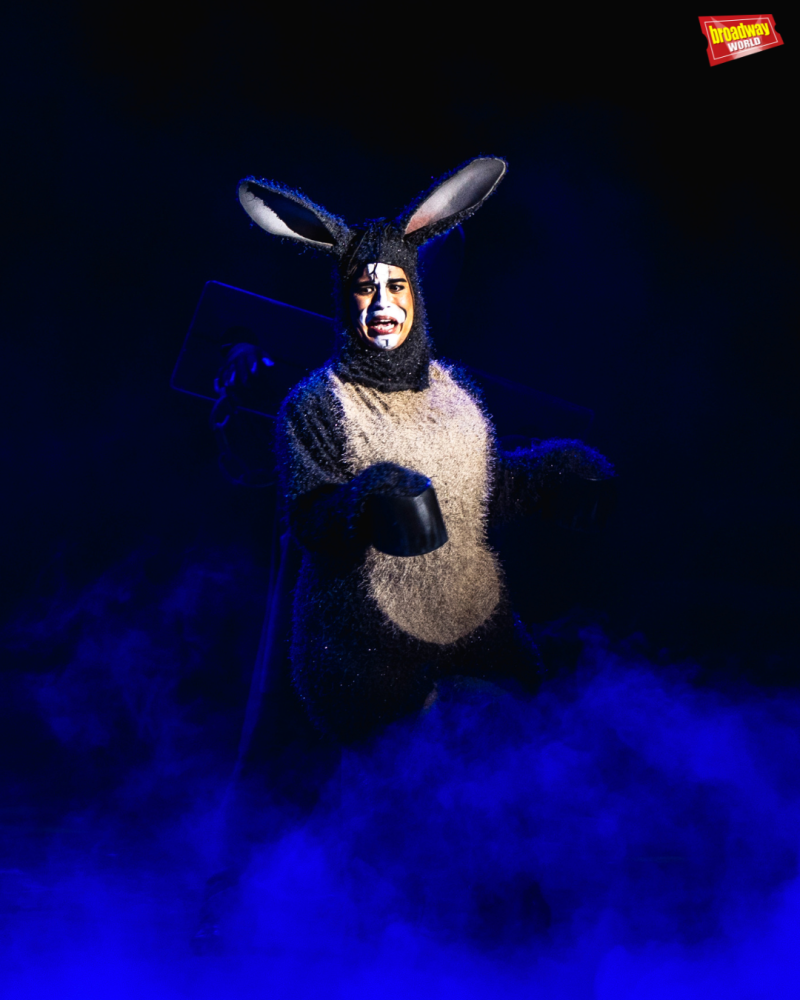 Photos: First Look at SHREK at the Newport Performing Arts Theatre Image