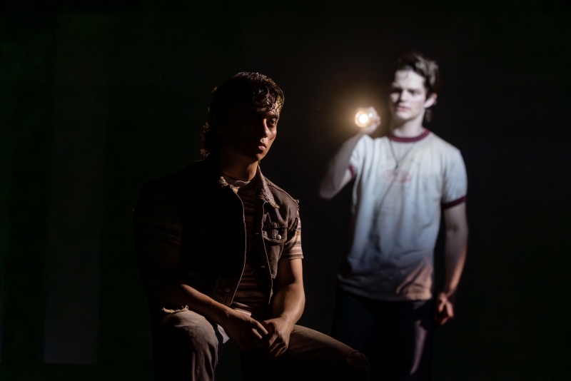 Review: THE OUTSIDERS at Dr. Phillips Center For The Performing Arts Image
