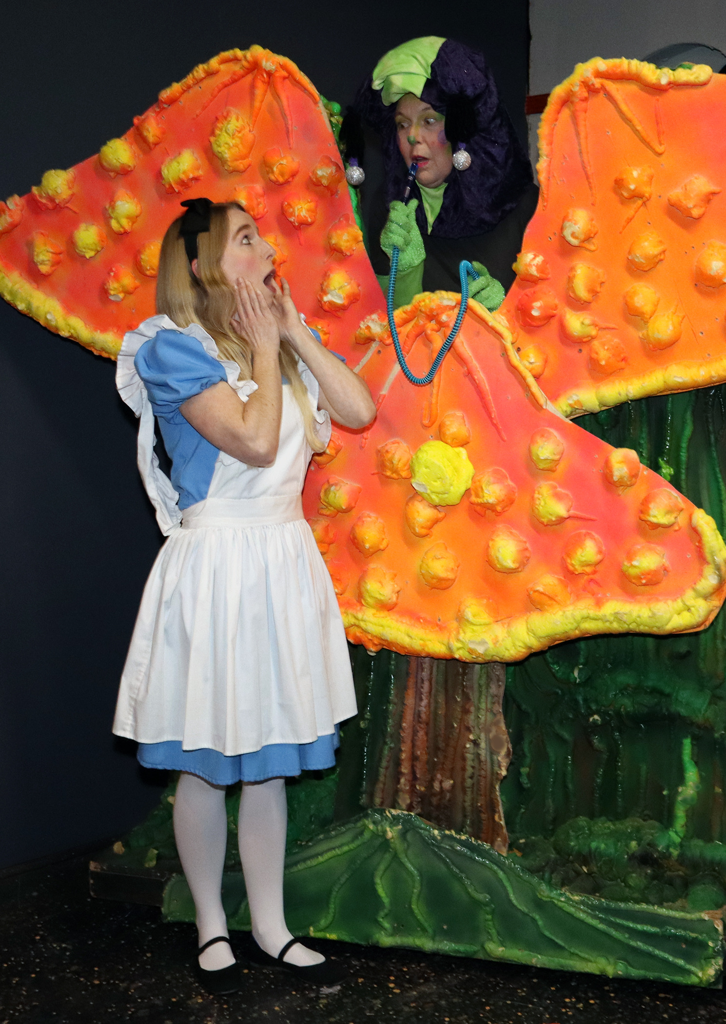 Photos: Sutter Street Theatre's ALICE IN WONDERLAND Image