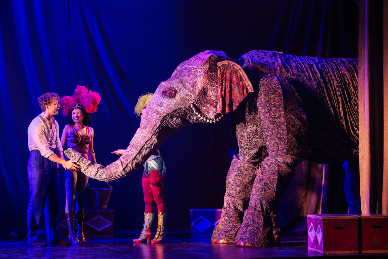 Review: WATER FOR ELEPHANTS at Broadway At The Hobby Center Image