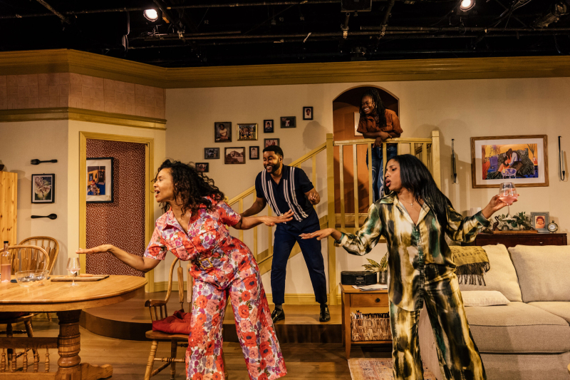 Interview: Director Oz Scott of FAIRVIEW by Rogue Machine at The Matrix Theatre Image