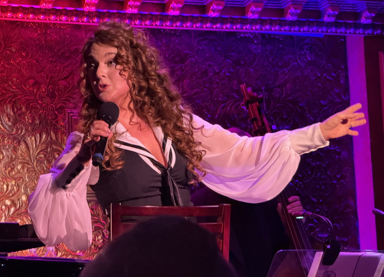 Review: Melissa Errico Pays Homage to Streisand in BACK TO BARBRA at 54 Below Image