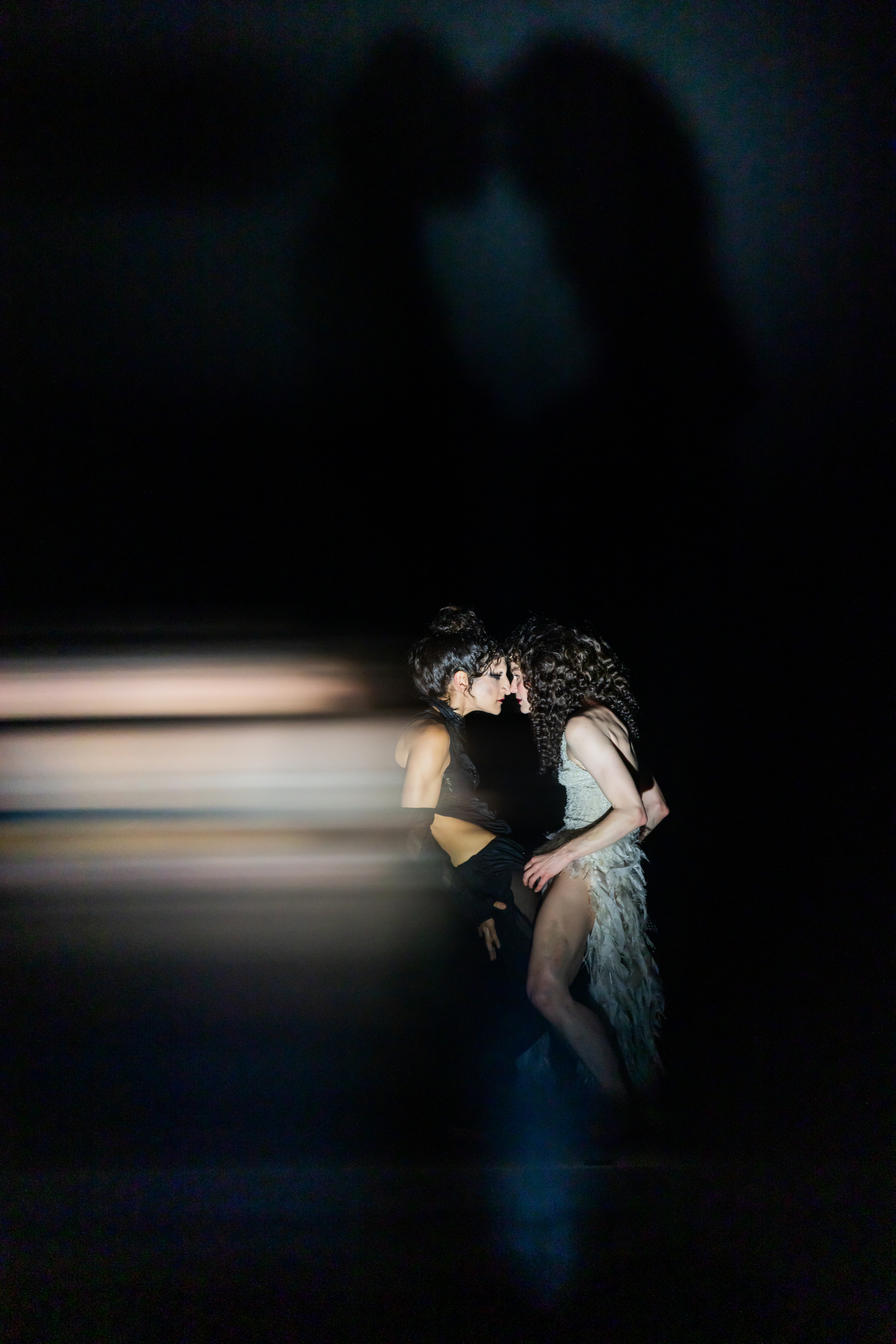 Photos: First Look at the World Premiere of BLACK SWAN at A.R.T. Image