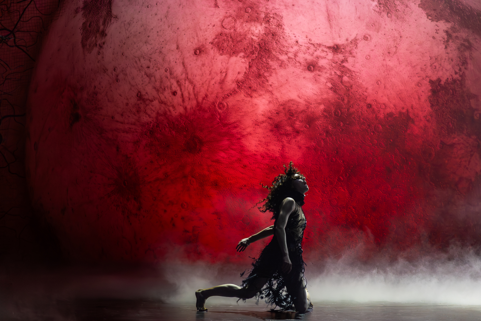 Photos: First Look at the World Premiere of BLACK SWAN at A.R.T. Image