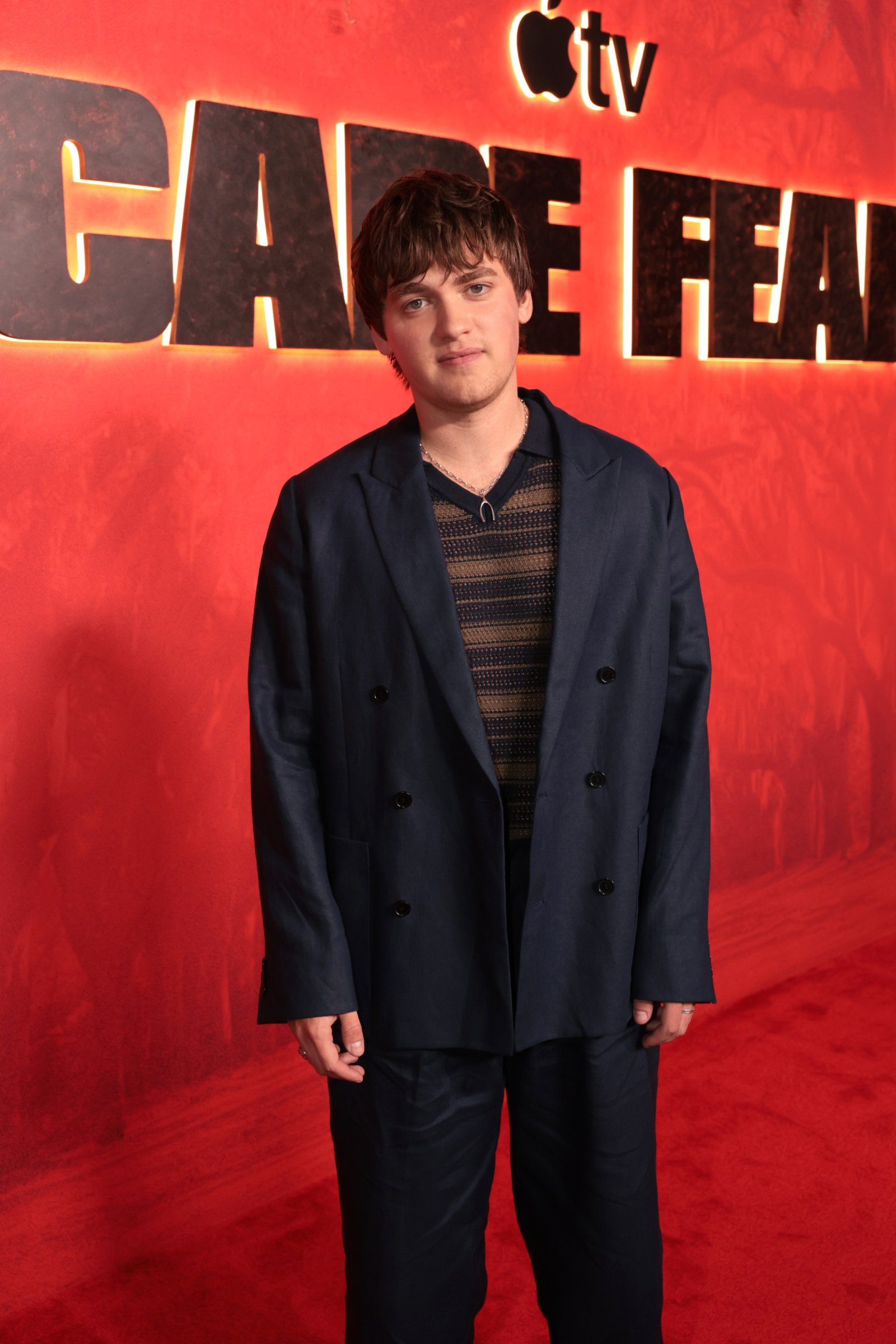 Photos: Patrick Wilson, Amy Adams, & More Attend CAPE FEAR Red Carpet Premiere Image