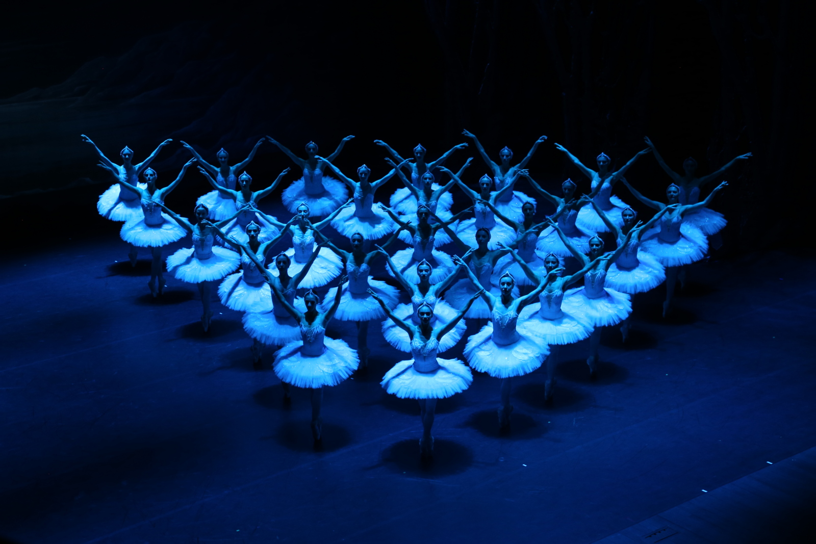 Photos: State Ballet of Georgia Performs SWAN LAKE Ahead of London Coliseum Return Image