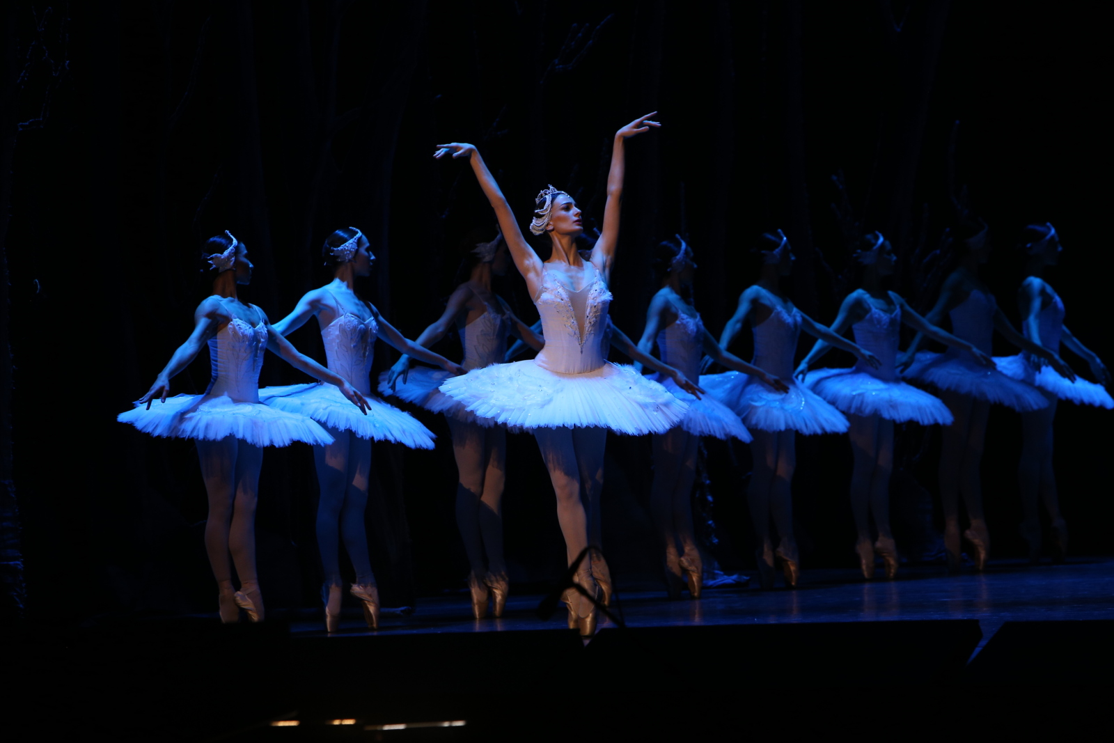 Photos: State Ballet of Georgia Performs SWAN LAKE Ahead of London Coliseum Return Image