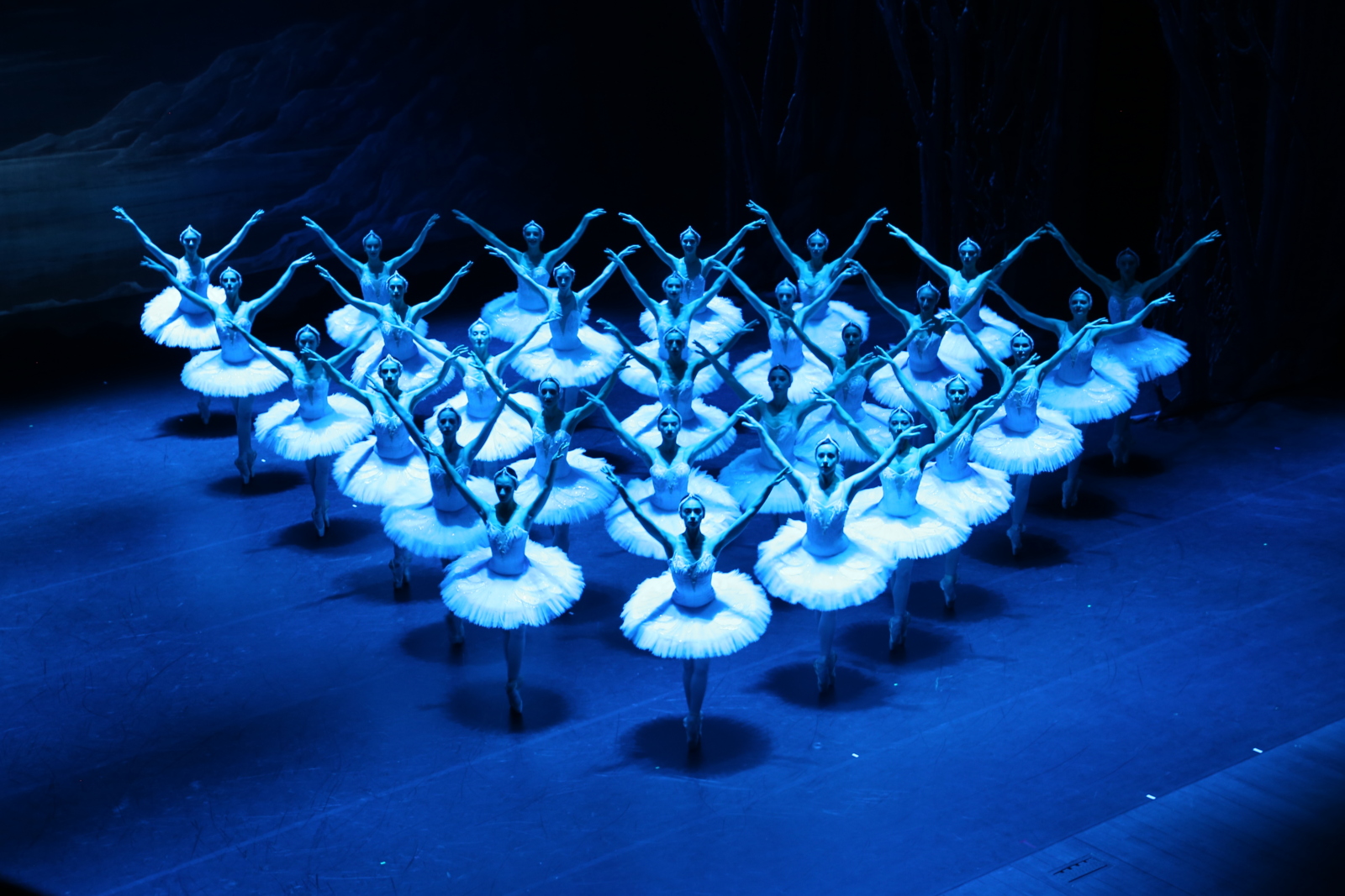 Photos: State Ballet of Georgia Performs SWAN LAKE Ahead of London Coliseum Return Image